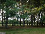 4291 Dyes Ln - Photo 66