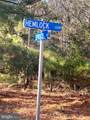 79 Hemlock Loop - Photo 6