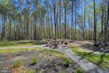 295 Hemlock Loop - Photo 20