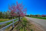 295 Hemlock Loop - Photo 52