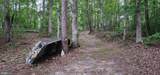 272 Moon Shadow Ln - Photo 31