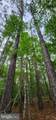 272 Moon Shadow Ln - Photo 42