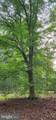 272 Moon Shadow Ln - Photo 44