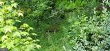 272 Moon Shadow Ln - Photo 46