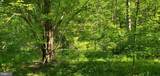 3059 F.T. Valley - Photo 71