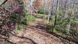  Pine Torch - Photo 1