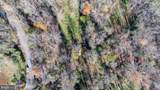  Pine Torch - Photo 23