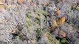  Pine Torch - Photo 29