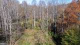  Pine Torch - Photo 45
