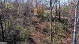  Pine Torch - Photo 47