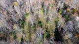  Pine Torch - Photo 56