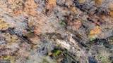  Pine Torch - Photo 59