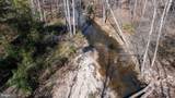  Pine Torch - Photo 63