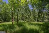  Pine Torch - Photo 12