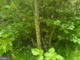  Mount Pisgah Church Dr - Photo 14