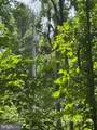  Mount Pisgah Church Dr - Photo 6