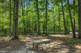 36139 Wilderness Shores Way - Photo 40
