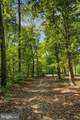 36139 Wilderness Shores Way - Photo 41