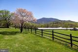 407 Kite Hollow Rd - Photo 98