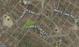  Forest Drive Ext - Photo 10