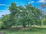 40 Antique Ln - Photo 32