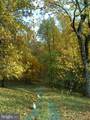 200 Fogg Mountain Ln - Photo 44