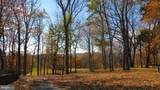 200 Fogg Mountain Ln - Photo 9