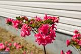 16025 Days Bridge Rd - Photo 93
