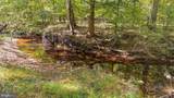 12905 Spotswood Furnace Rd - Photo 58