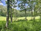 1023 Devils Knob Loop - Photo 7