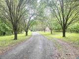 5878A Buffalo River Rd - Photo 1