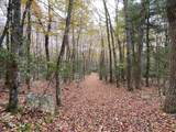 TBD Halterman Hollow Ln - Photo 1