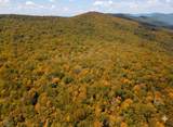 TBD Halterman Hollow Ln - Photo 13