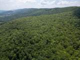 TBD Halterman Hollow Ln - Photo 17
