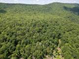 TBD Halterman Hollow Ln - Photo 20