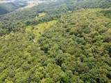 TBD Halterman Hollow Ln - Photo 21