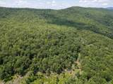 TBD Halterman Hollow Ln - Photo 22