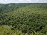 TBD Halterman Hollow Ln - Photo 23