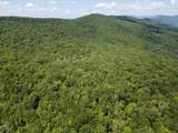 TBD Halterman Hollow Ln - Photo 24