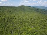 TBD Halterman Hollow Ln - Photo 25
