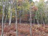 TBD Halterman Hollow Ln - Photo 30