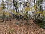 TBD Halterman Hollow Ln - Photo 33