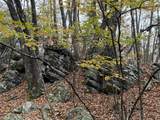 TBD Halterman Hollow Ln - Photo 34