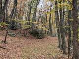 TBD Halterman Hollow Ln - Photo 35
