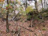 TBD Halterman Hollow Ln - Photo 39