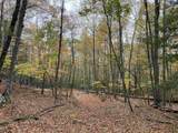TBD Halterman Hollow Ln - Photo 40