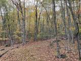 TBD Halterman Hollow Ln - Photo 41