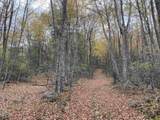 TBD Halterman Hollow Ln - Photo 42