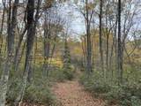 TBD Halterman Hollow Ln - Photo 43