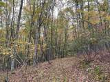 TBD Halterman Hollow Ln - Photo 44